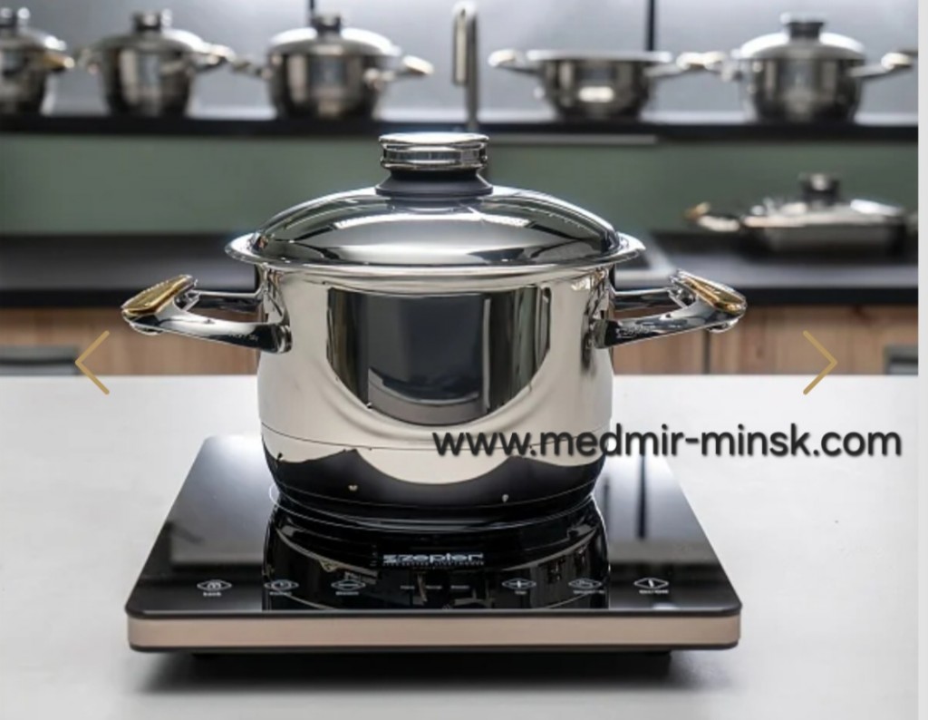 Купить индукционную плиту Цептер в Минске выгодно